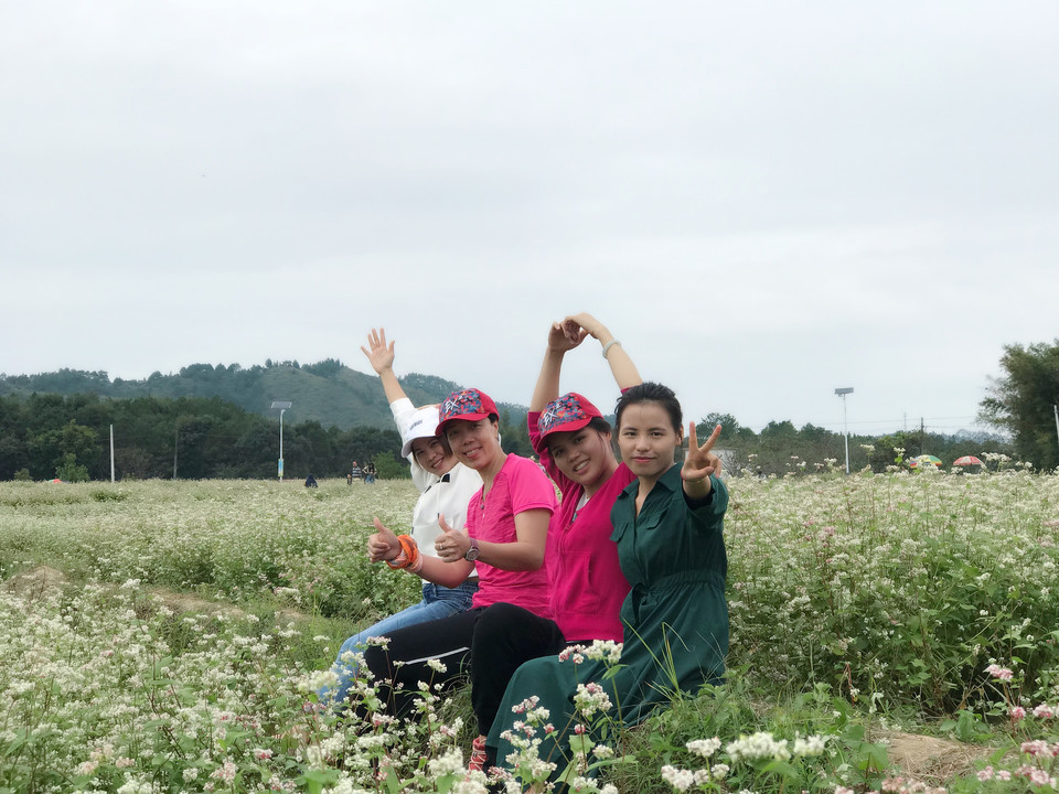 微信图片_20181105133242