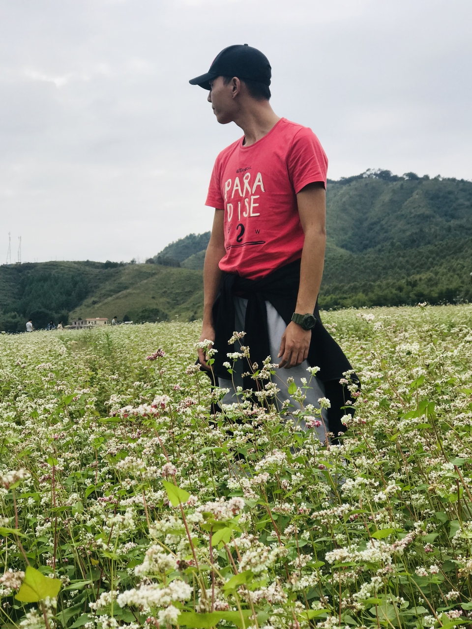 微信图片_20181105133254