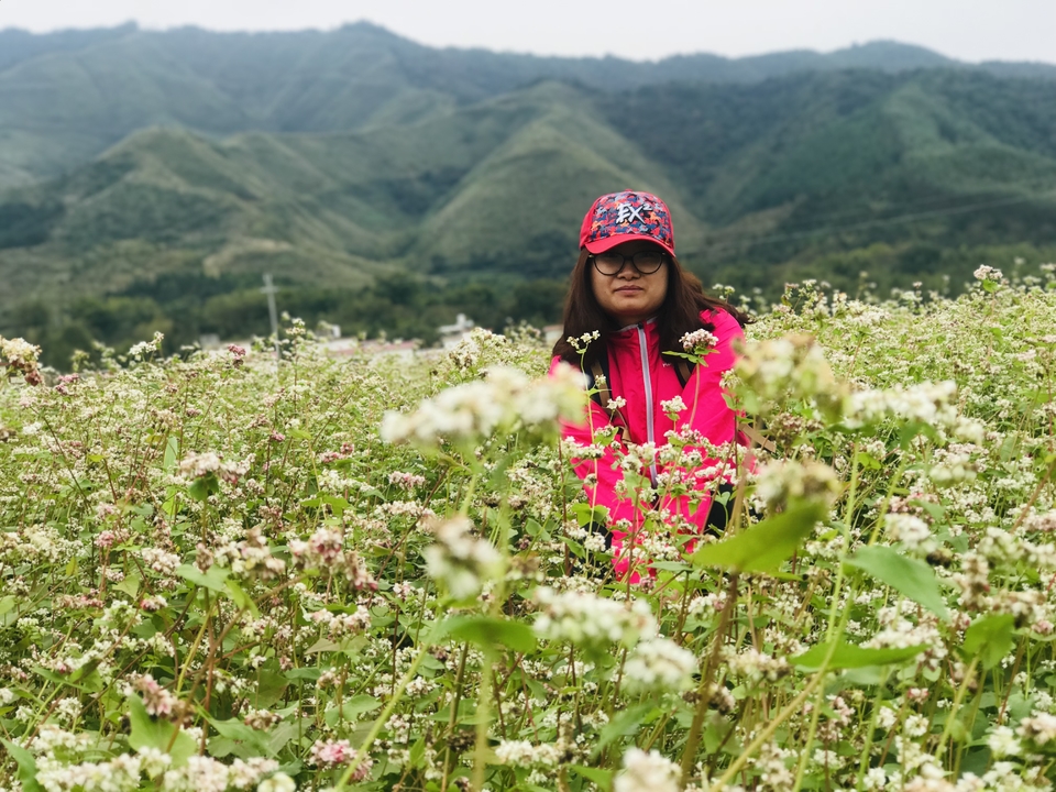 微信图片_20181105133306