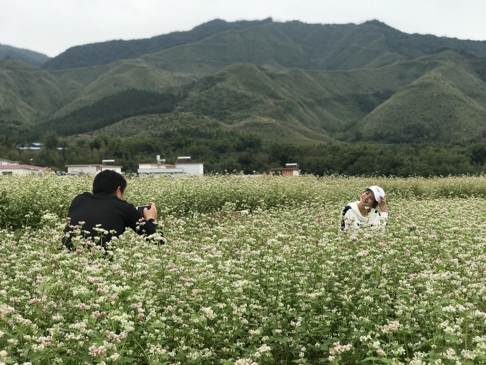 微信图片_20181105133440