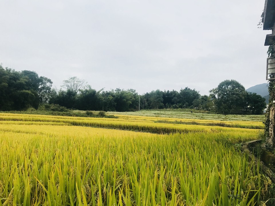 微信图片_20181105133451