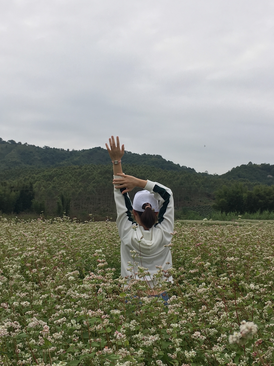 微信图片_20181105133459