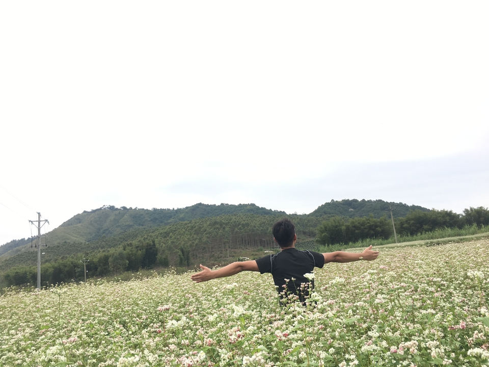 微信图片_20181105133506