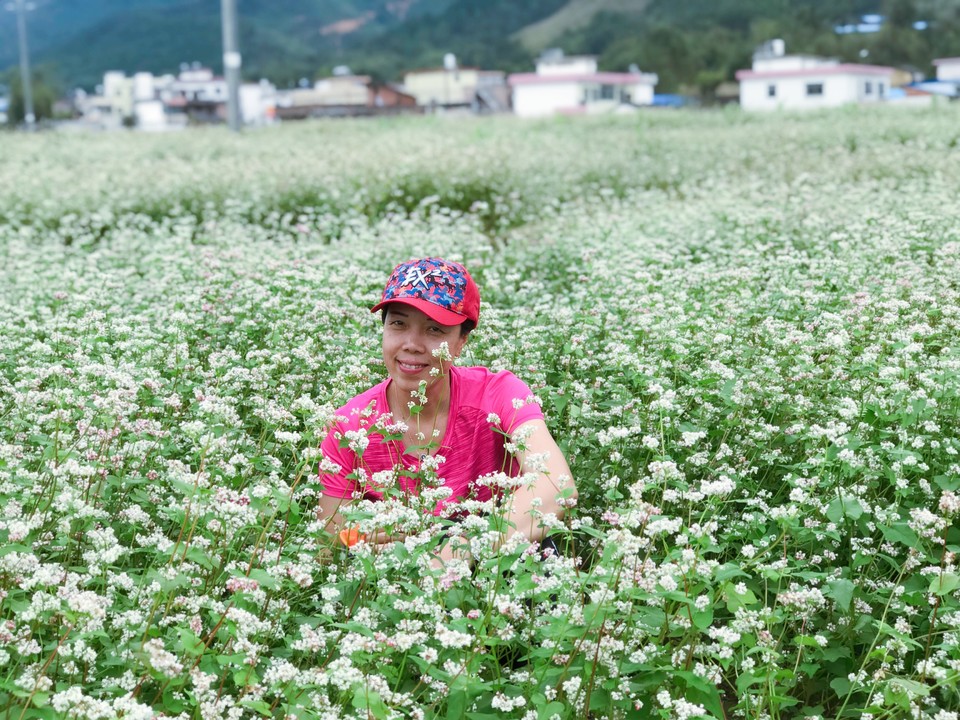 微信图片_20181105133542