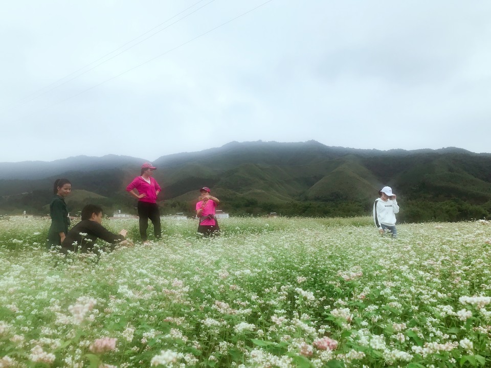 微信图片_20181105133648