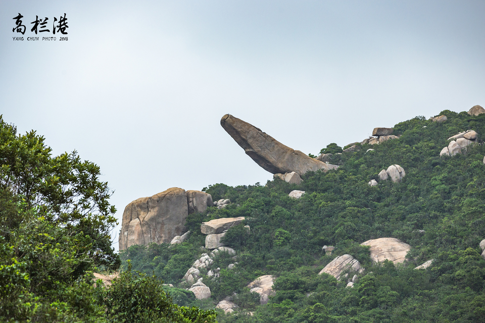 微信图片_20181112134906