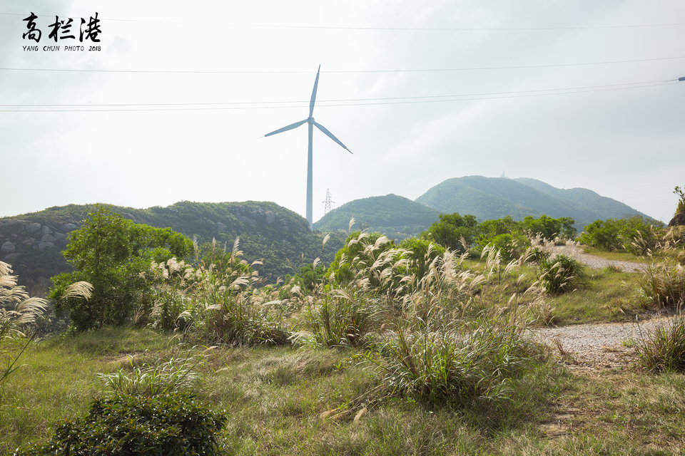 微信图片_20181112134942