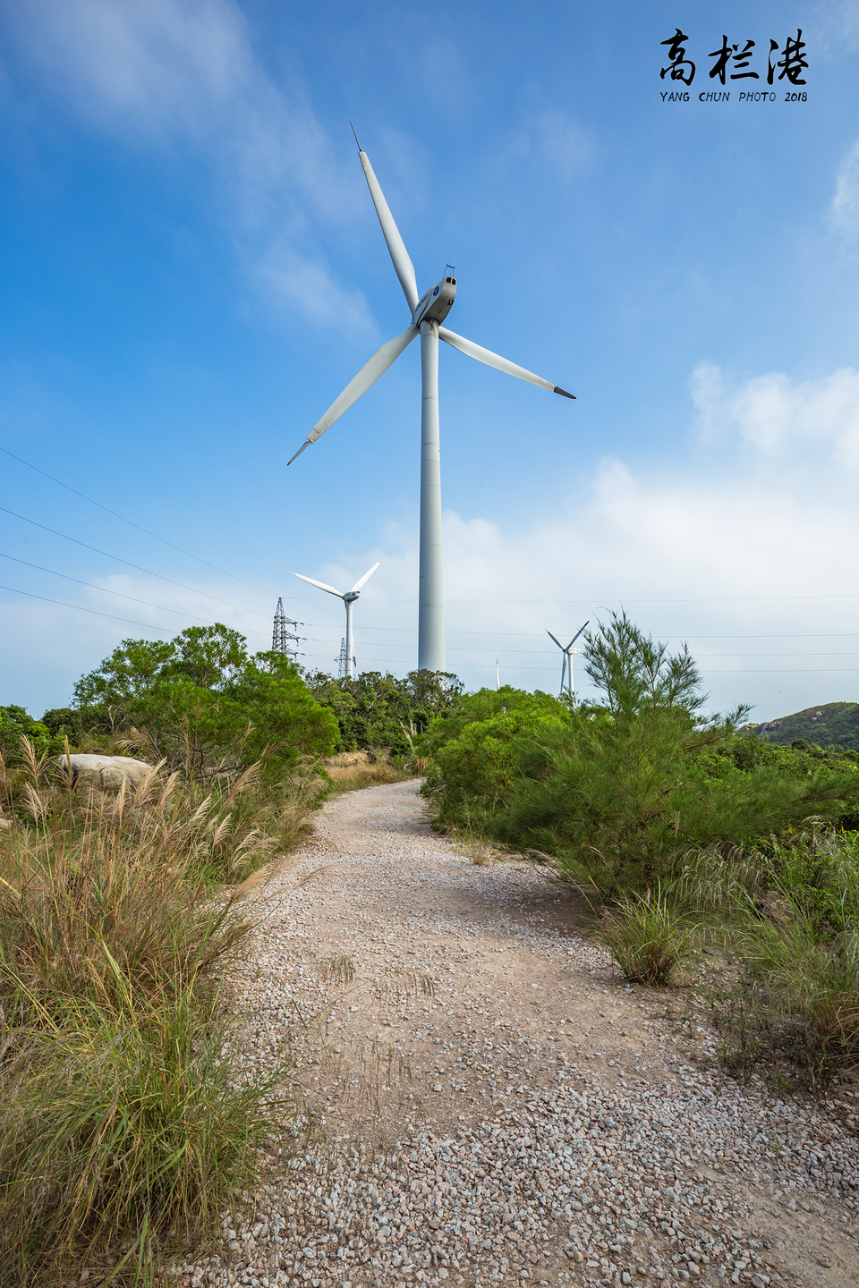 微信图片_20181112134947