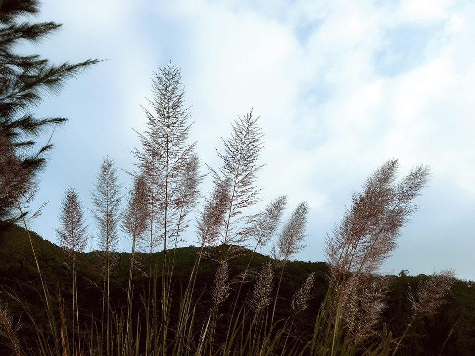 微信图片_20181112140012