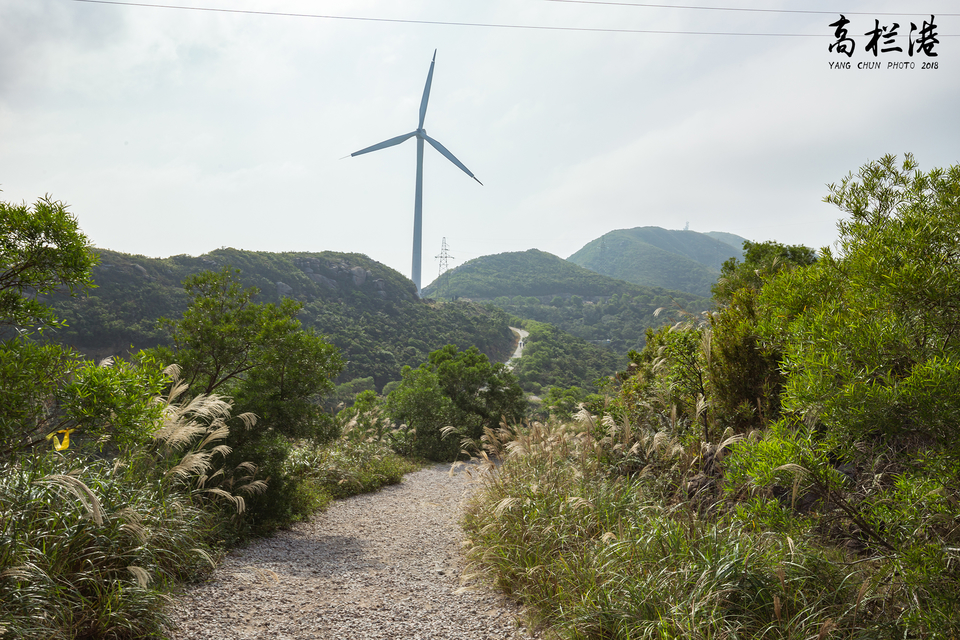 微信图片_20181112134936