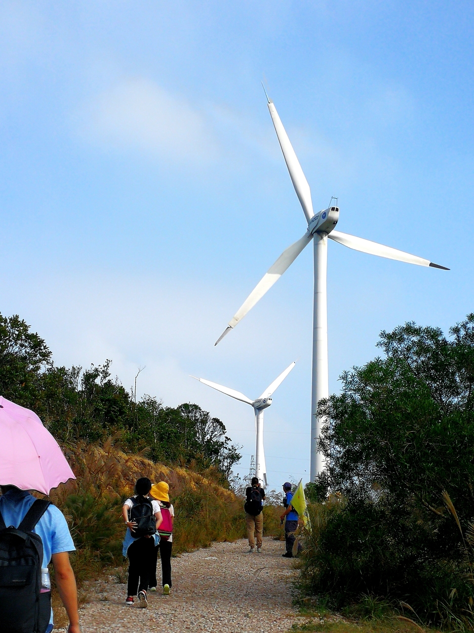 微信图片_20181113095347