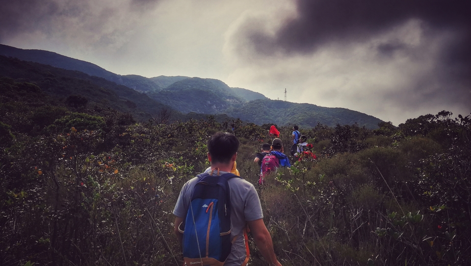 微信图片_20181113104716