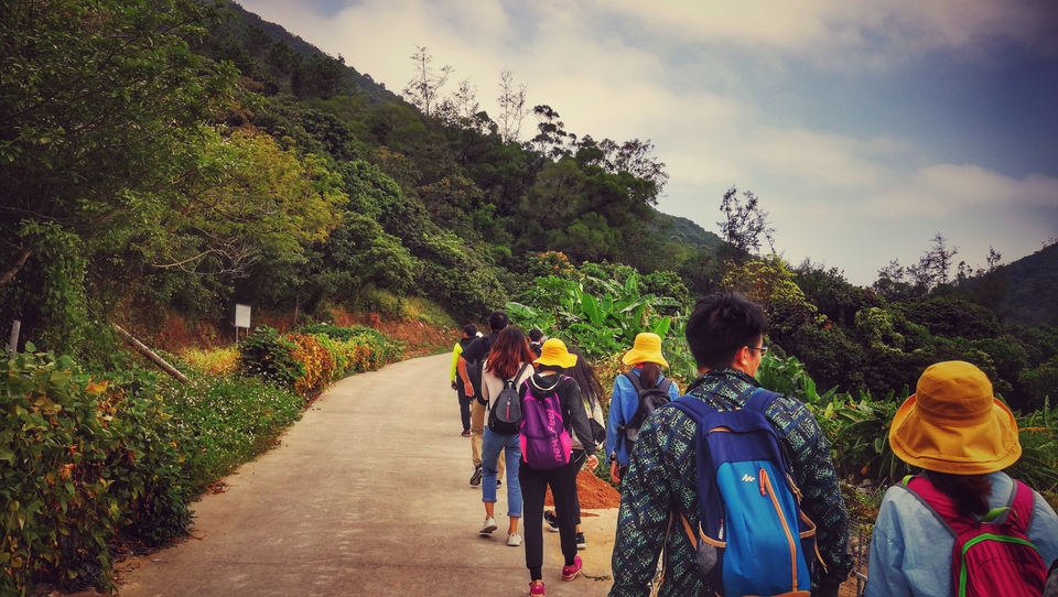 微信图片_20181113104758