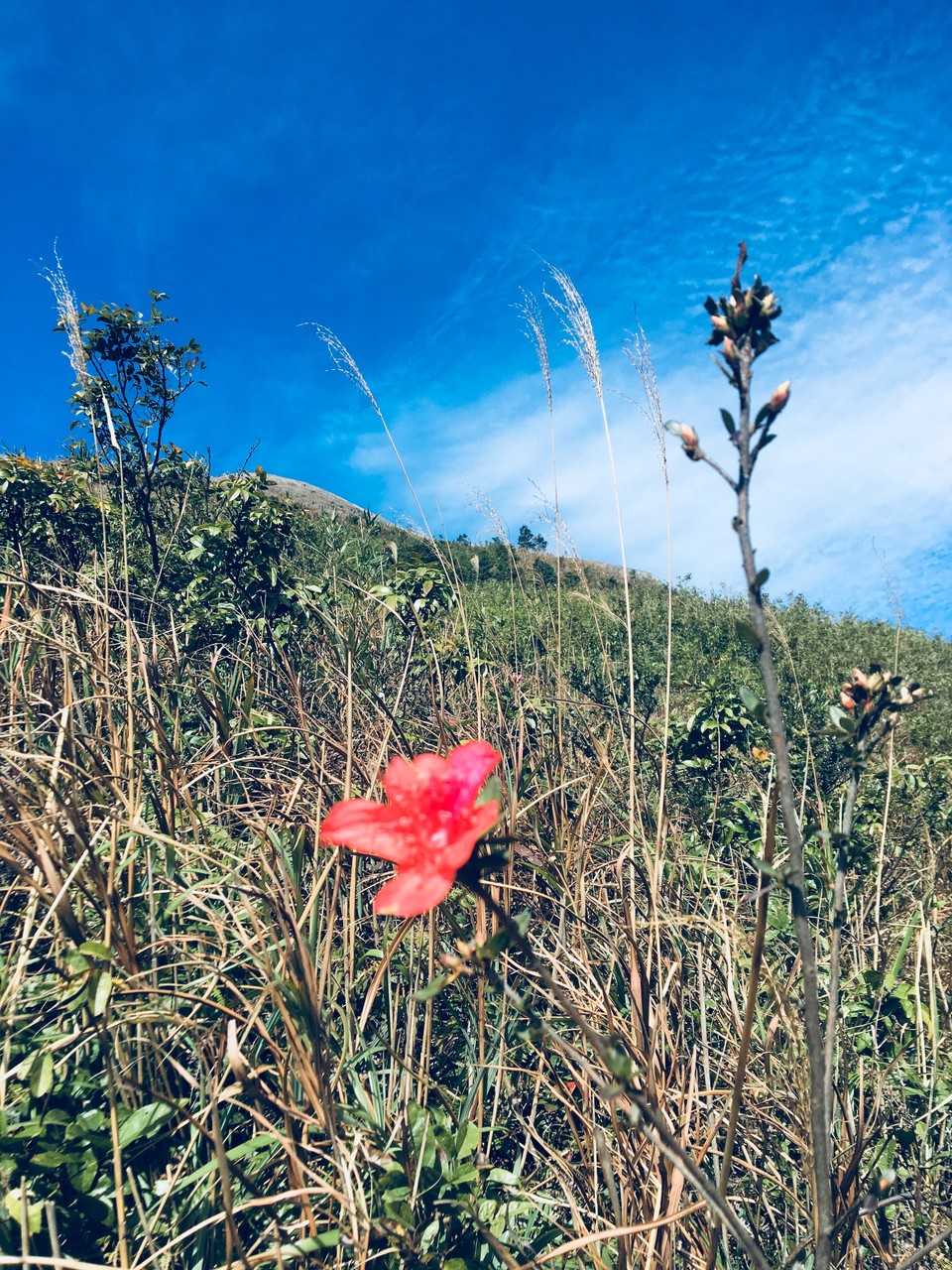 微信图片_20181207150752