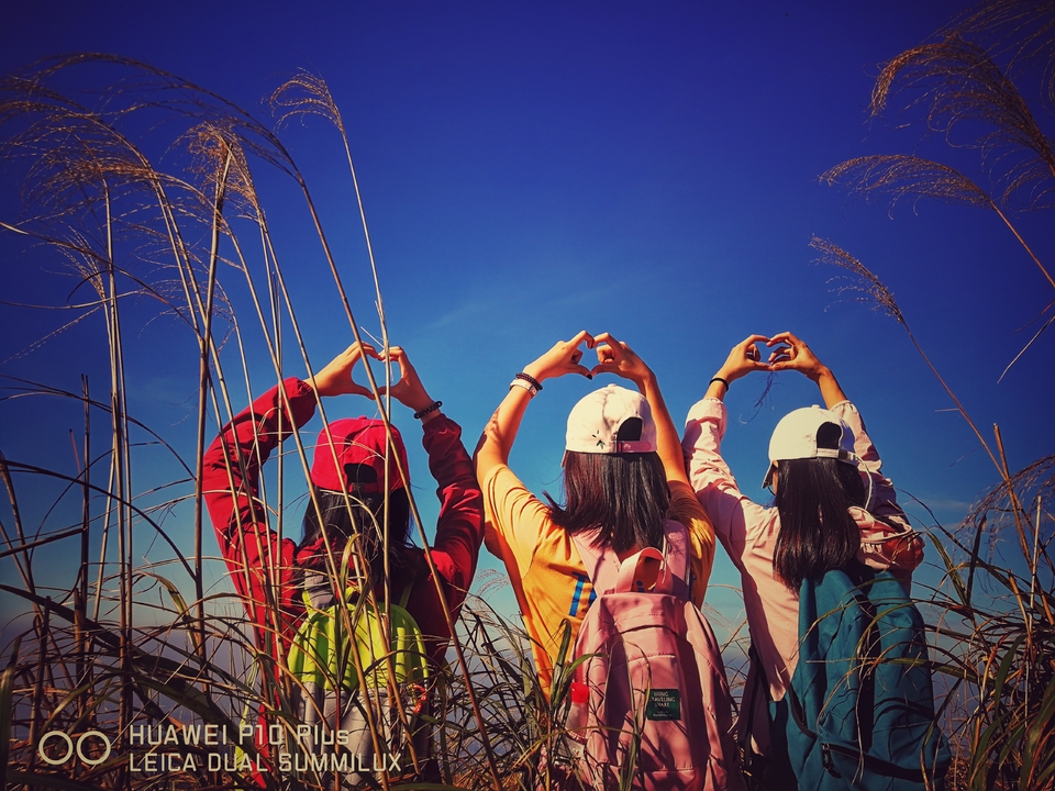 微信图片_20181207150814