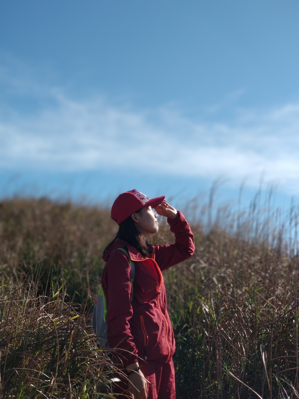 微信图片_20181207150939