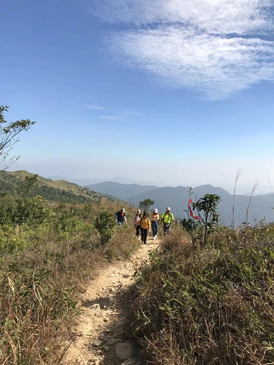 微信图片_20181207160404