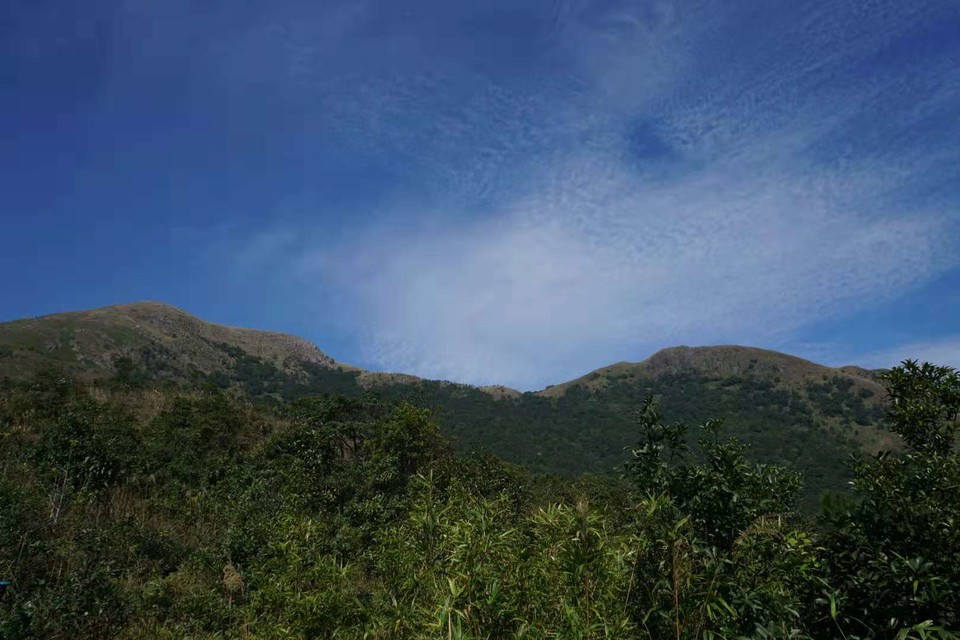 微信图片_20181207160417