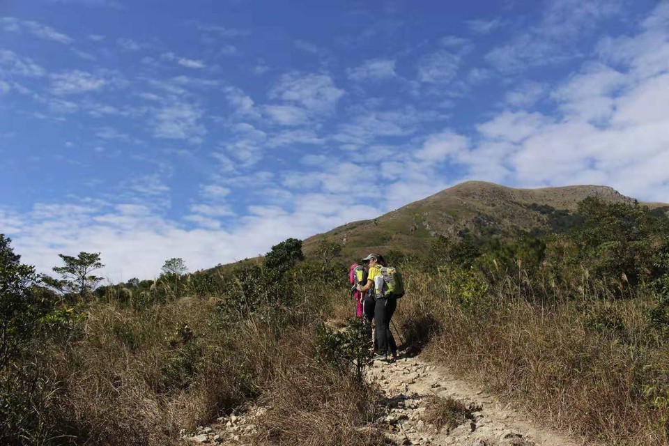 微信图片_20181207160447