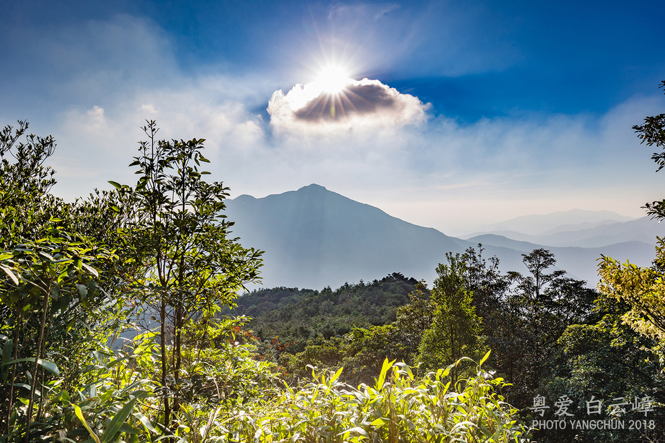 微信图片_20181207160654