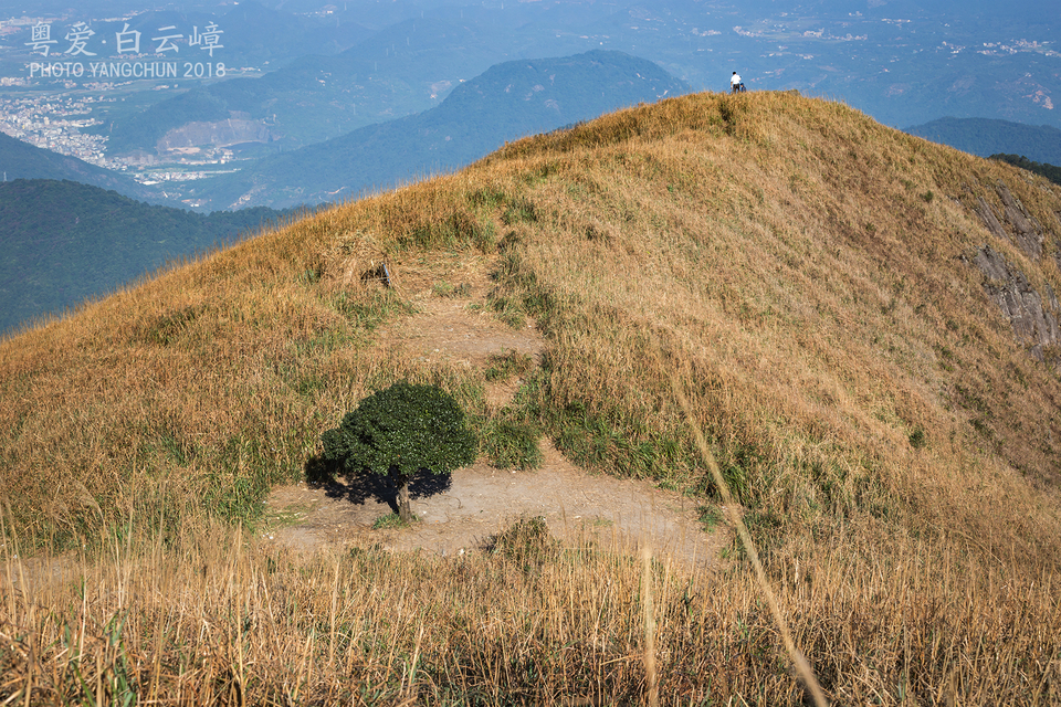 微信图片_20181207160659