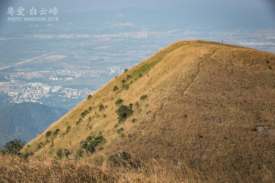 微信图片_20181207160713
