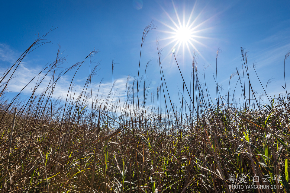 微信图片_20181207160751