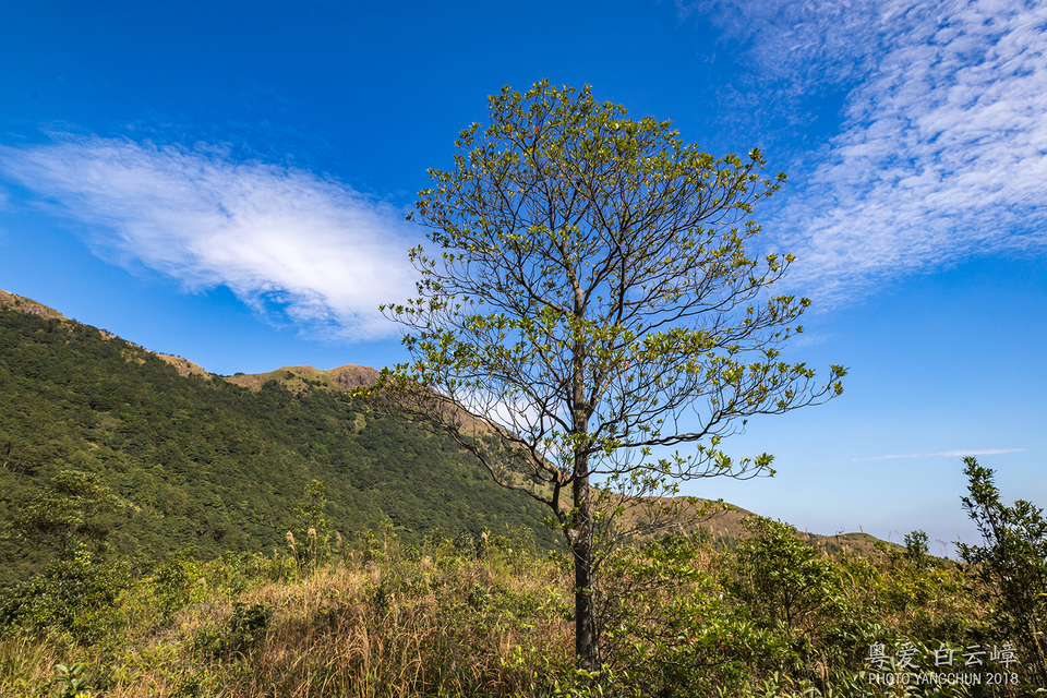 微信图片_20181207160833