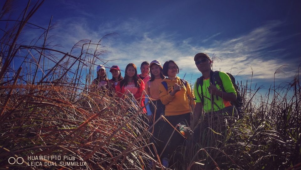 微信图片_20181207160843