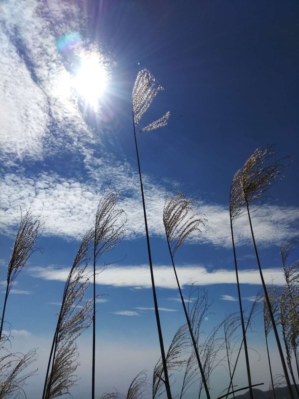 微信图片_20181207160856