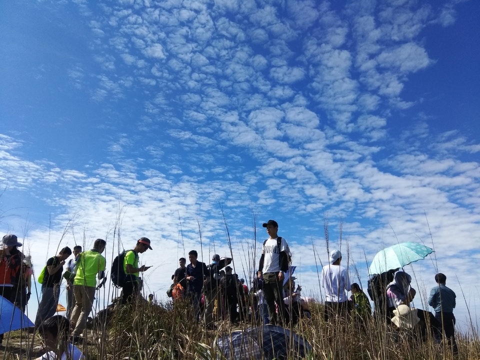 微信图片_20181207160901