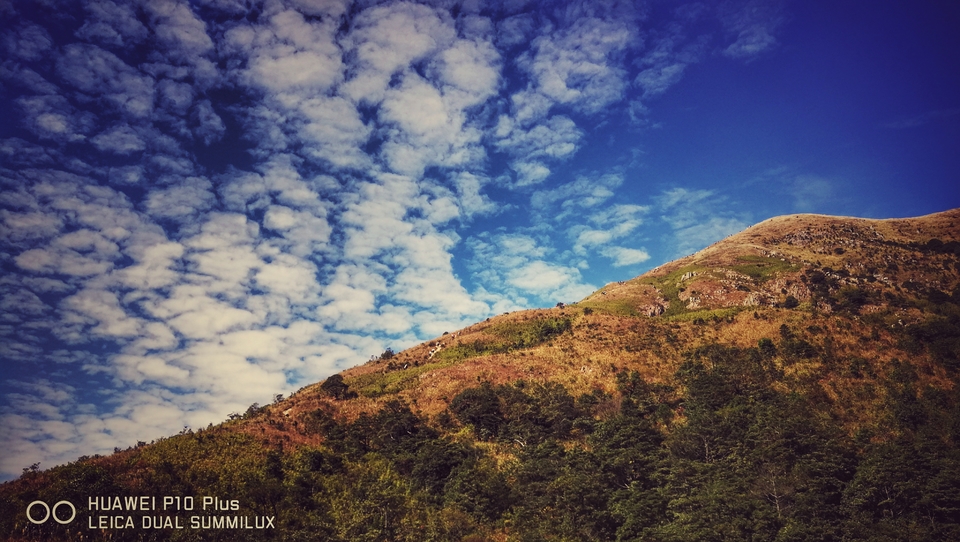 微信图片_20181207160907