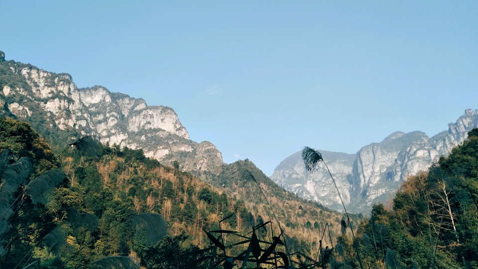 微信图片_20190129120552