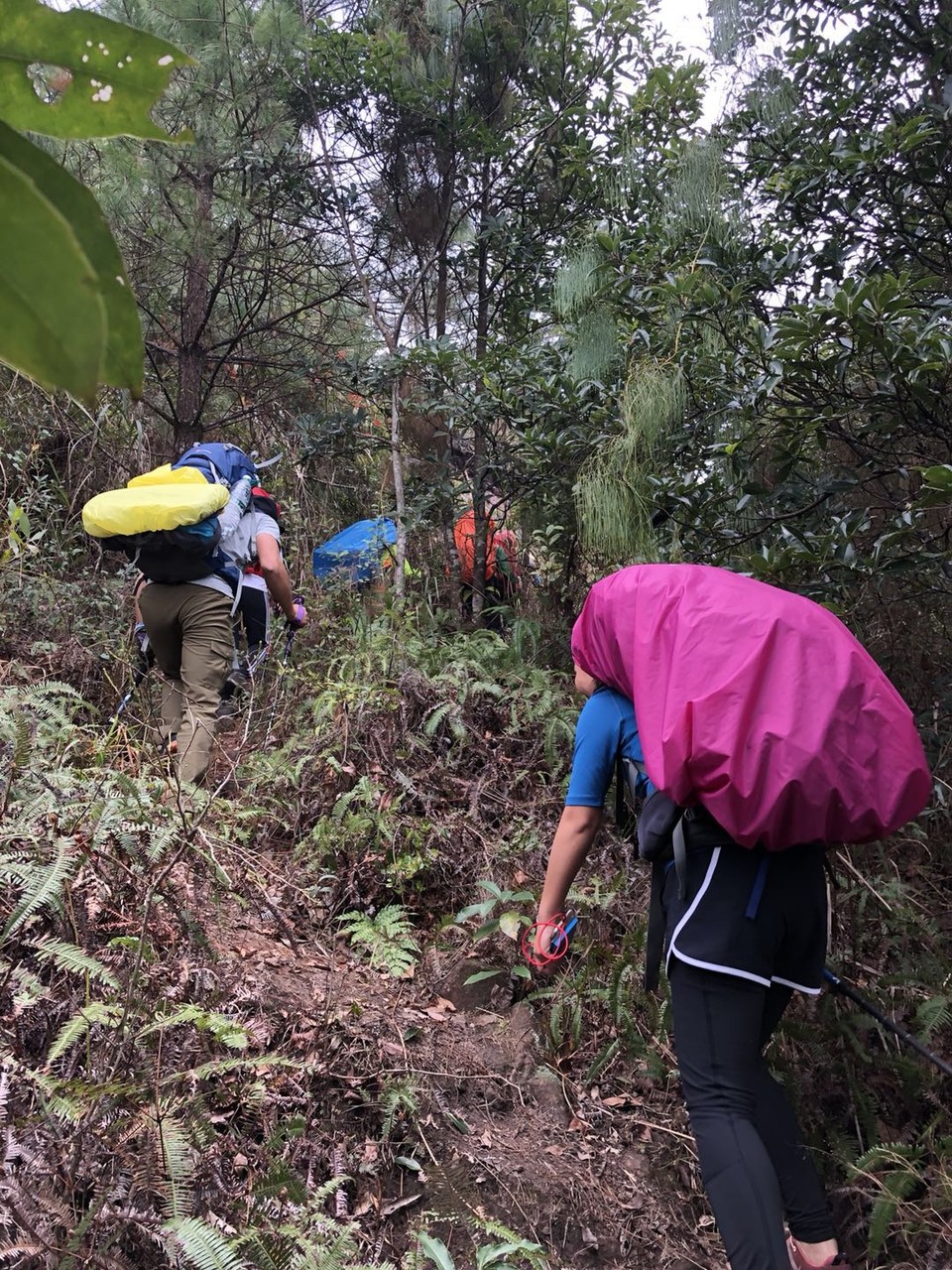 微信图片_20190129143814