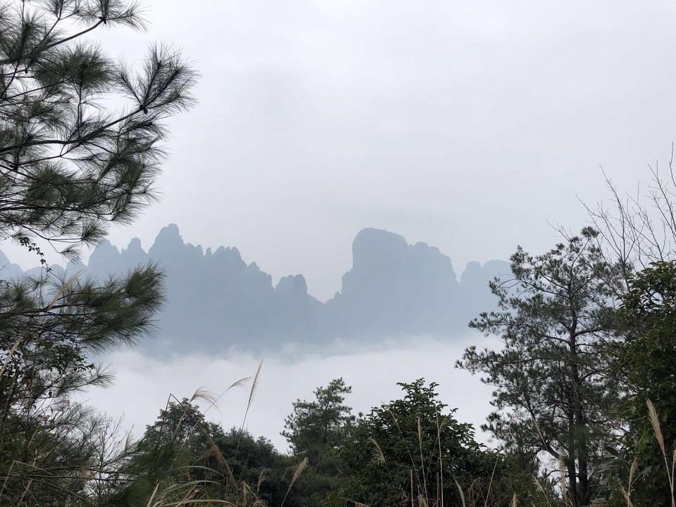 微信图片_20190129145543