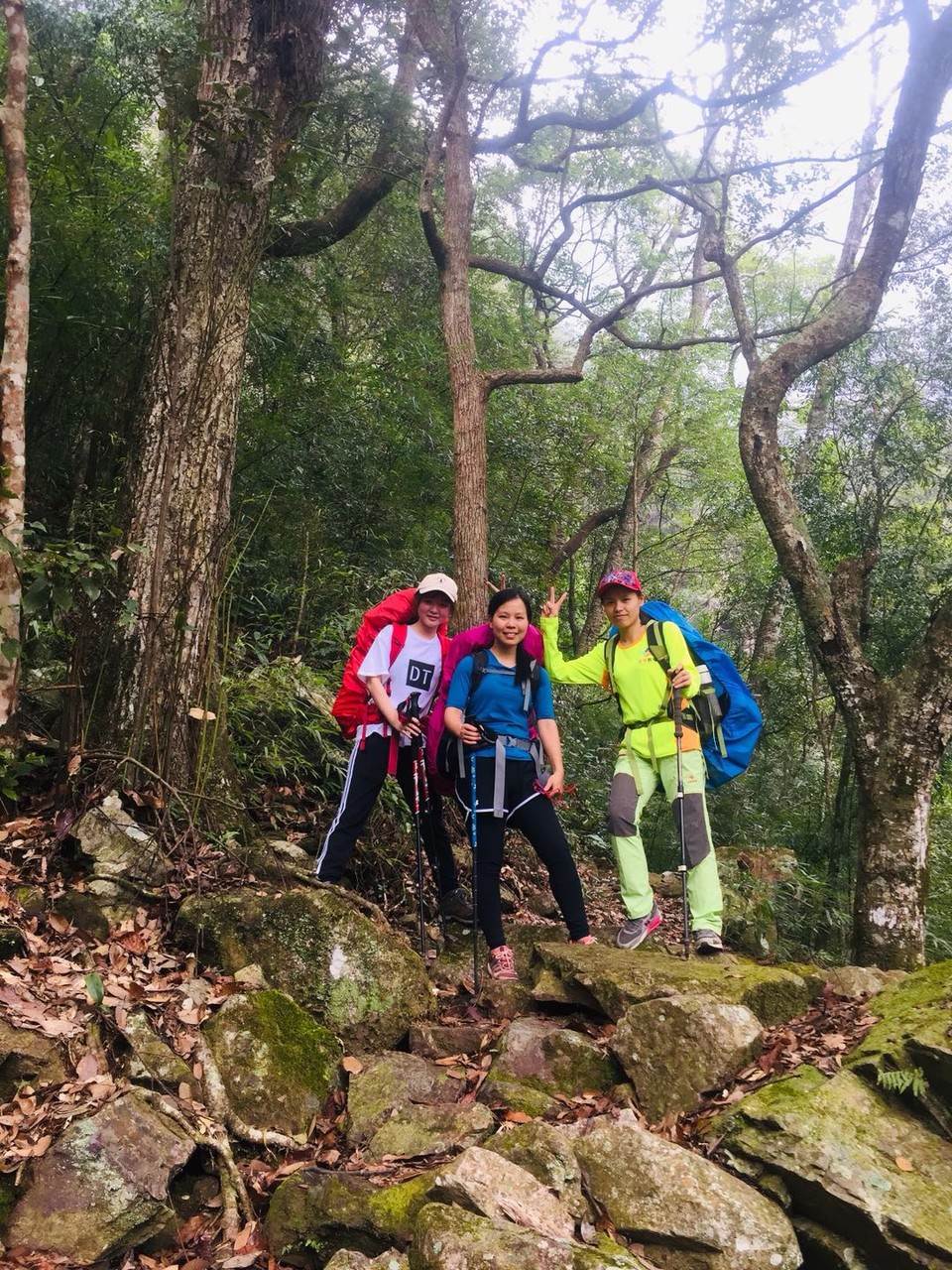 微信图片_20190129150943