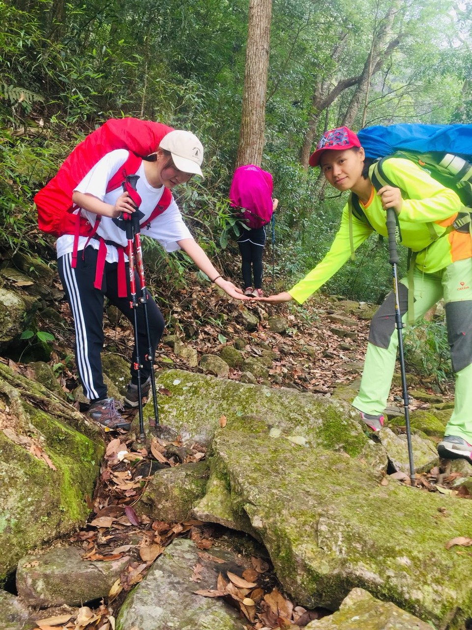 微信图片_20190129150948