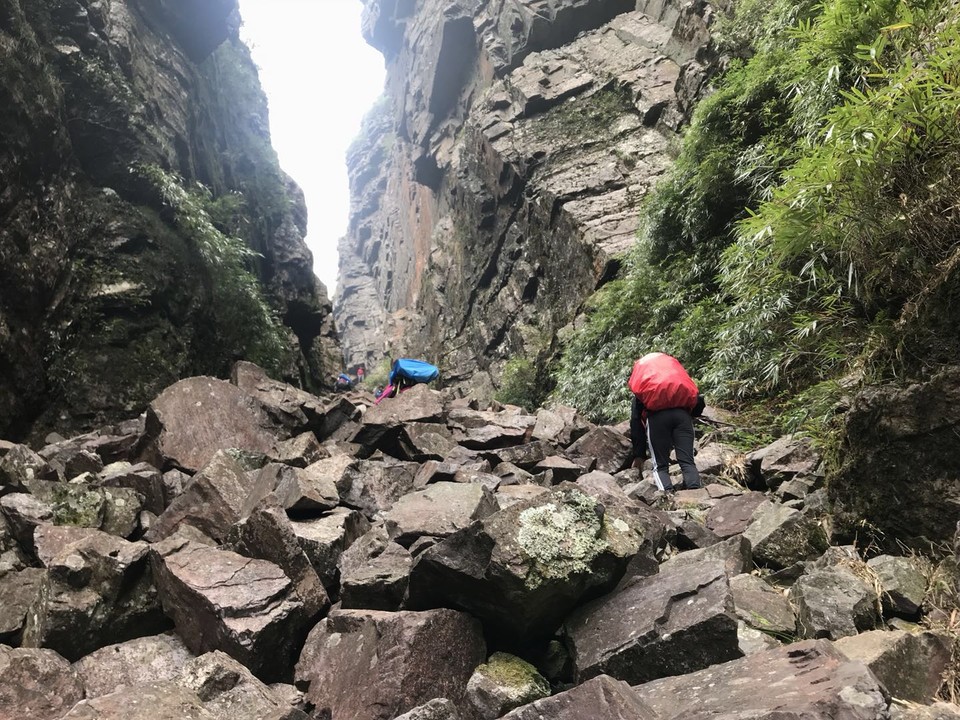 微信图片_20190129151840