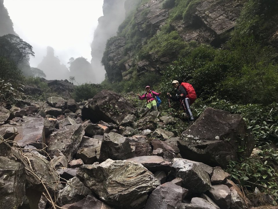 微信图片_20190129151848