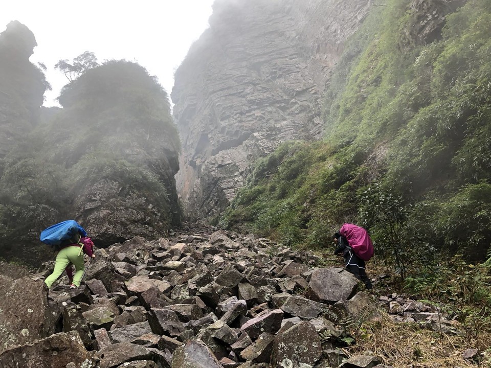 微信图片_20190129151901