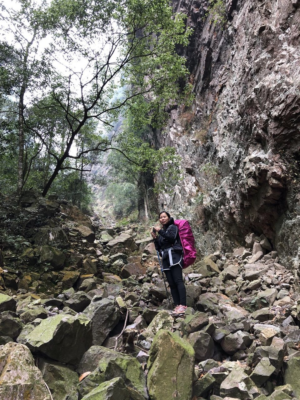 微信图片_20190129152049