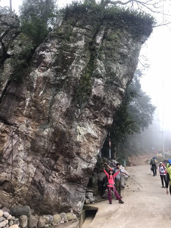 微信图片_20190129171435