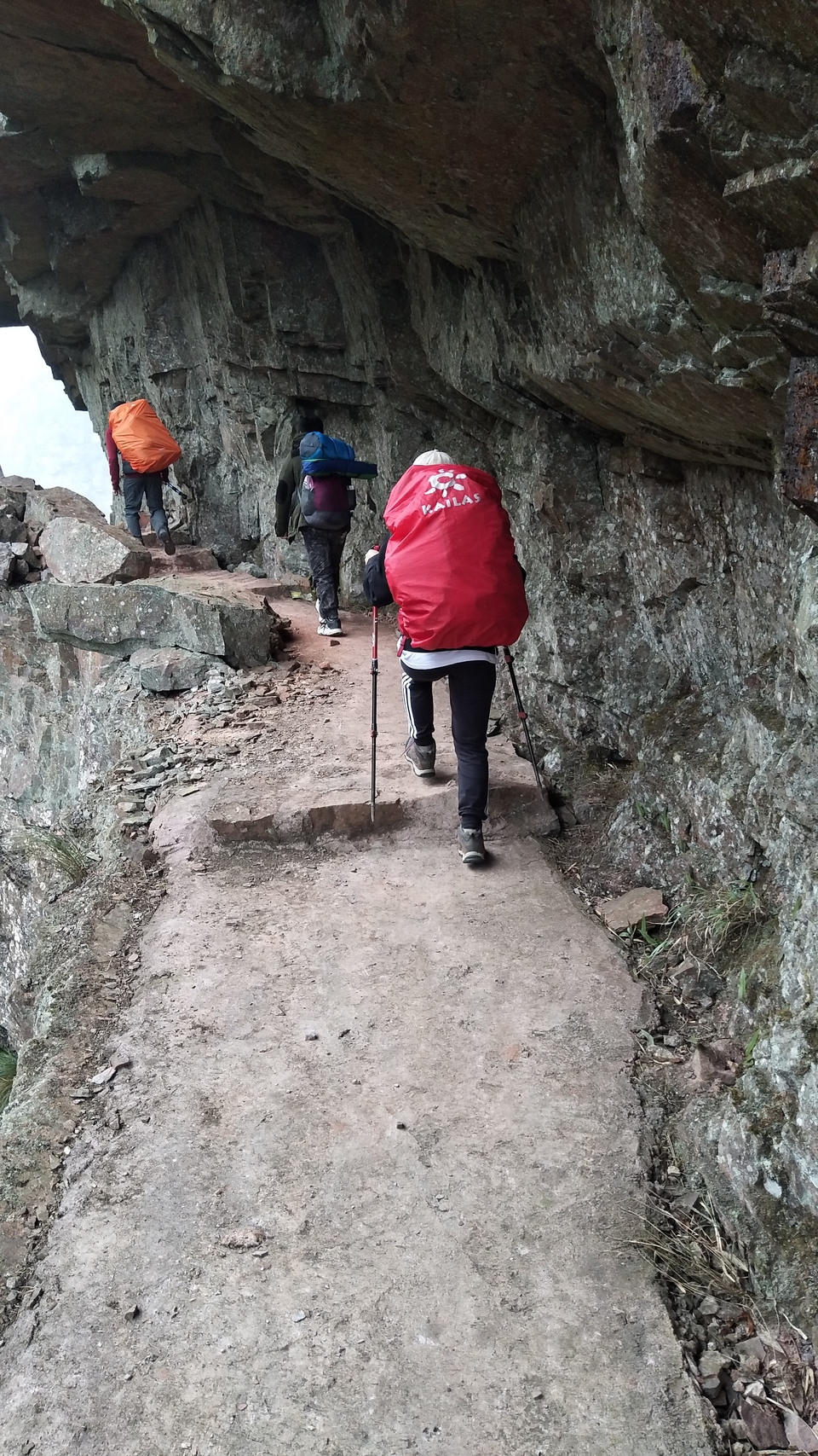 微信图片_20190129171731