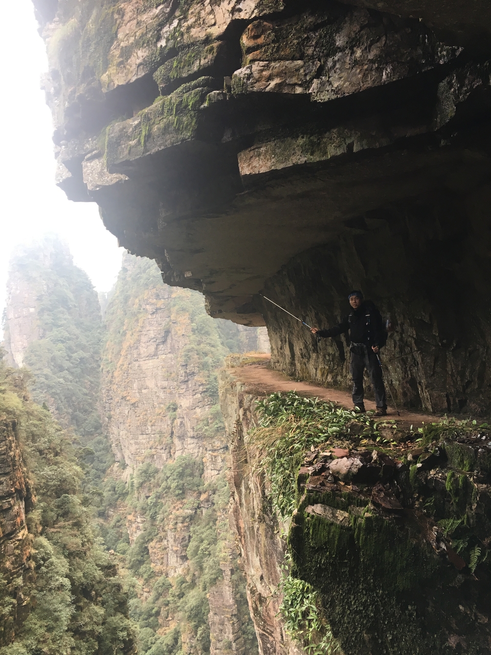 微信图片_20190129171745