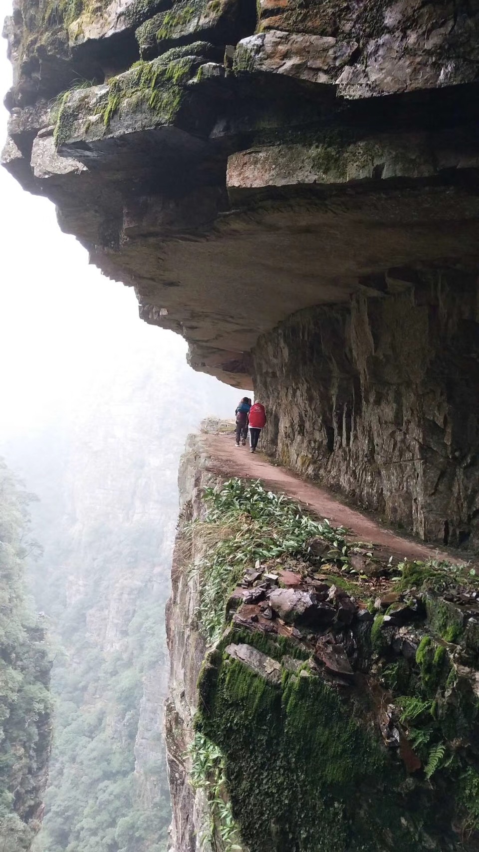 微信图片_20190129171958