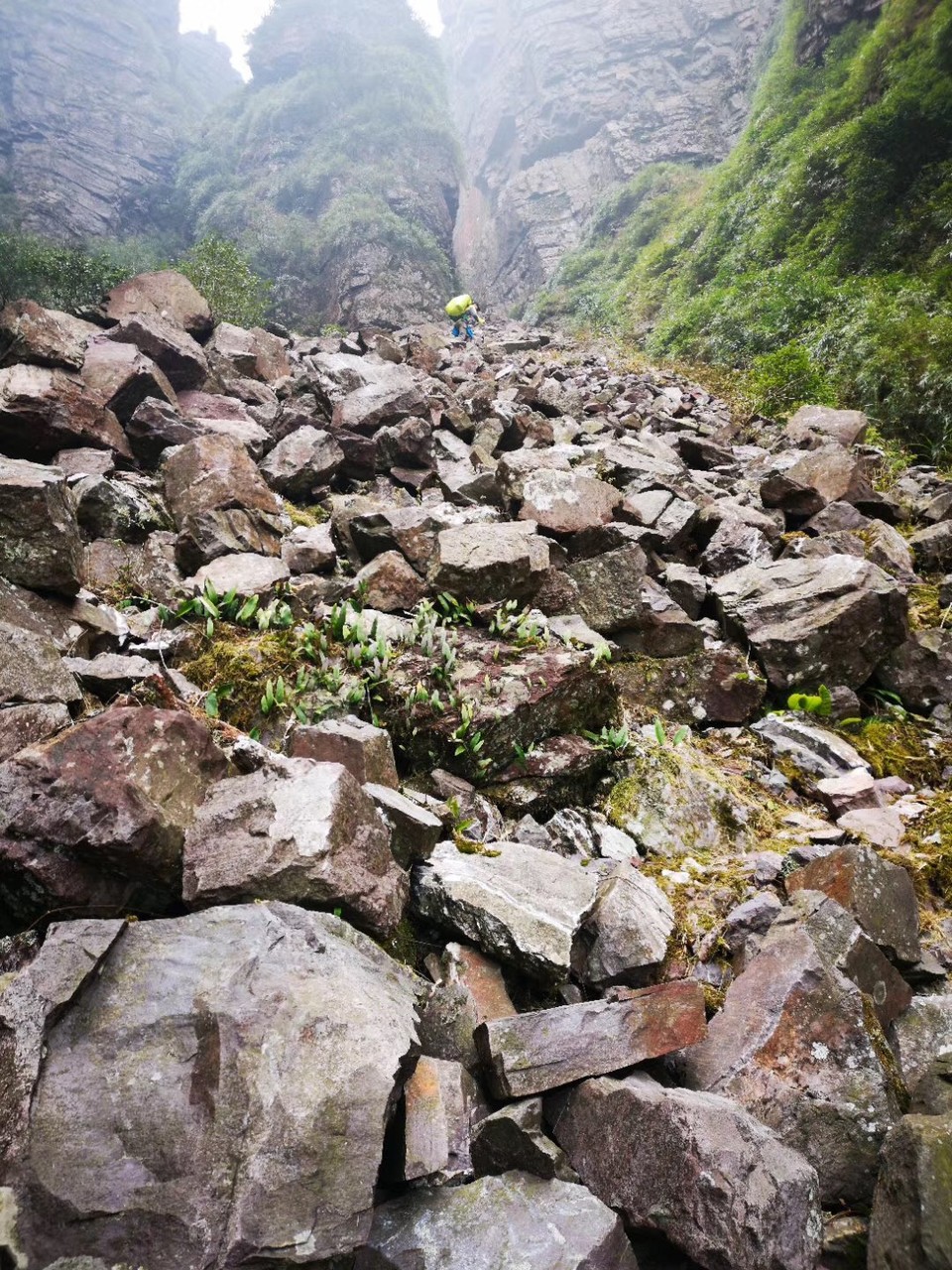 微信图片_20190129172115