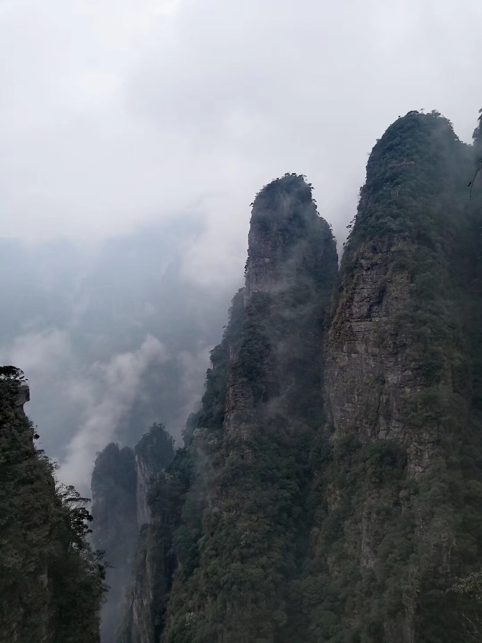 微信图片_20190129172351