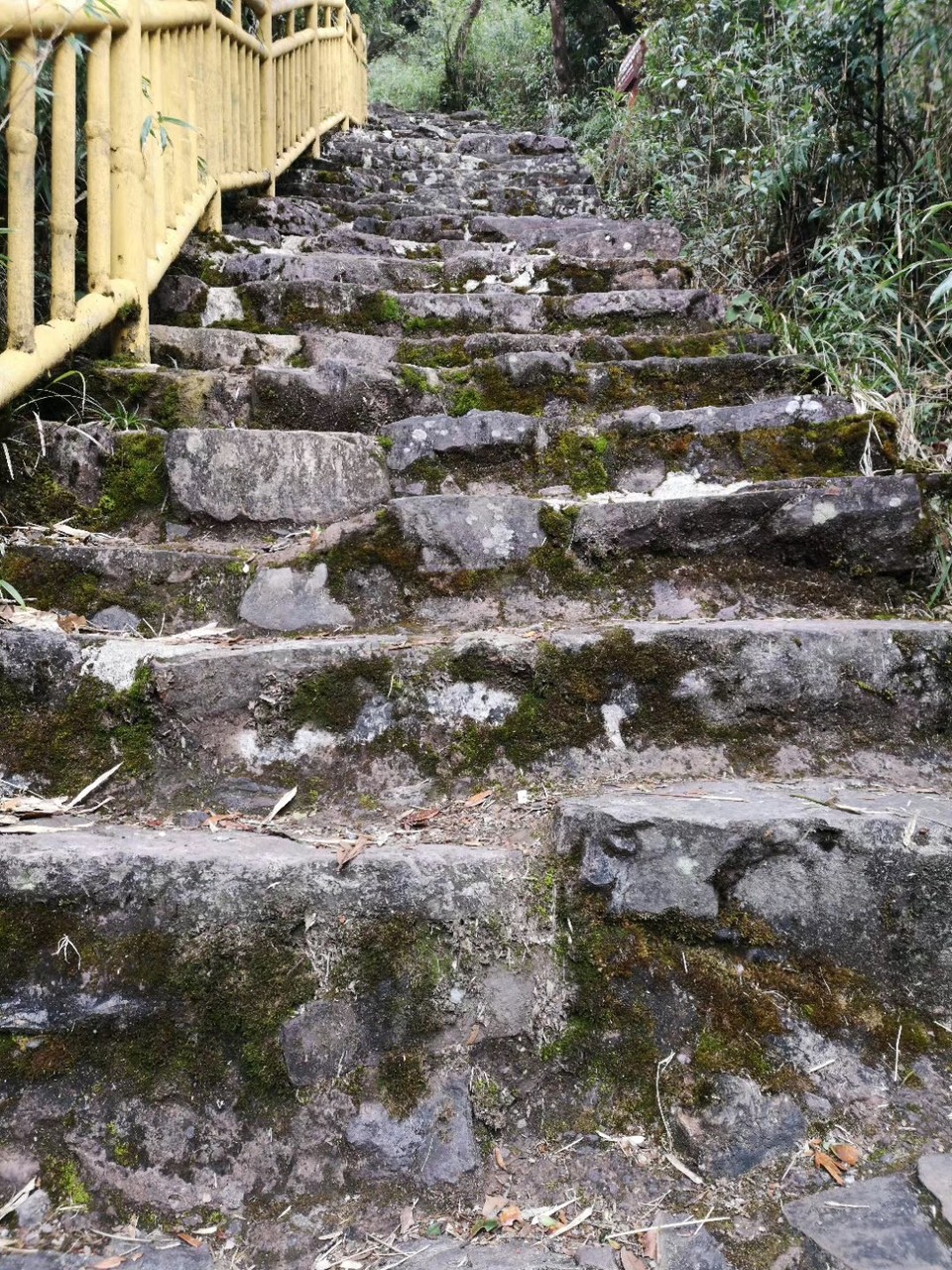 微信图片_20190129173122