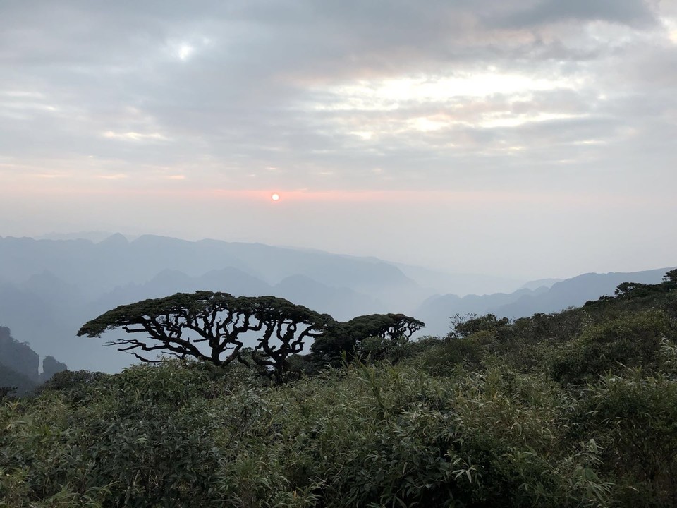 微信图片_20190129173539