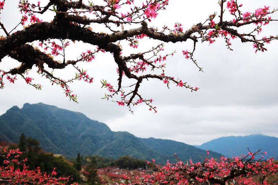 微信图片_20190212090940